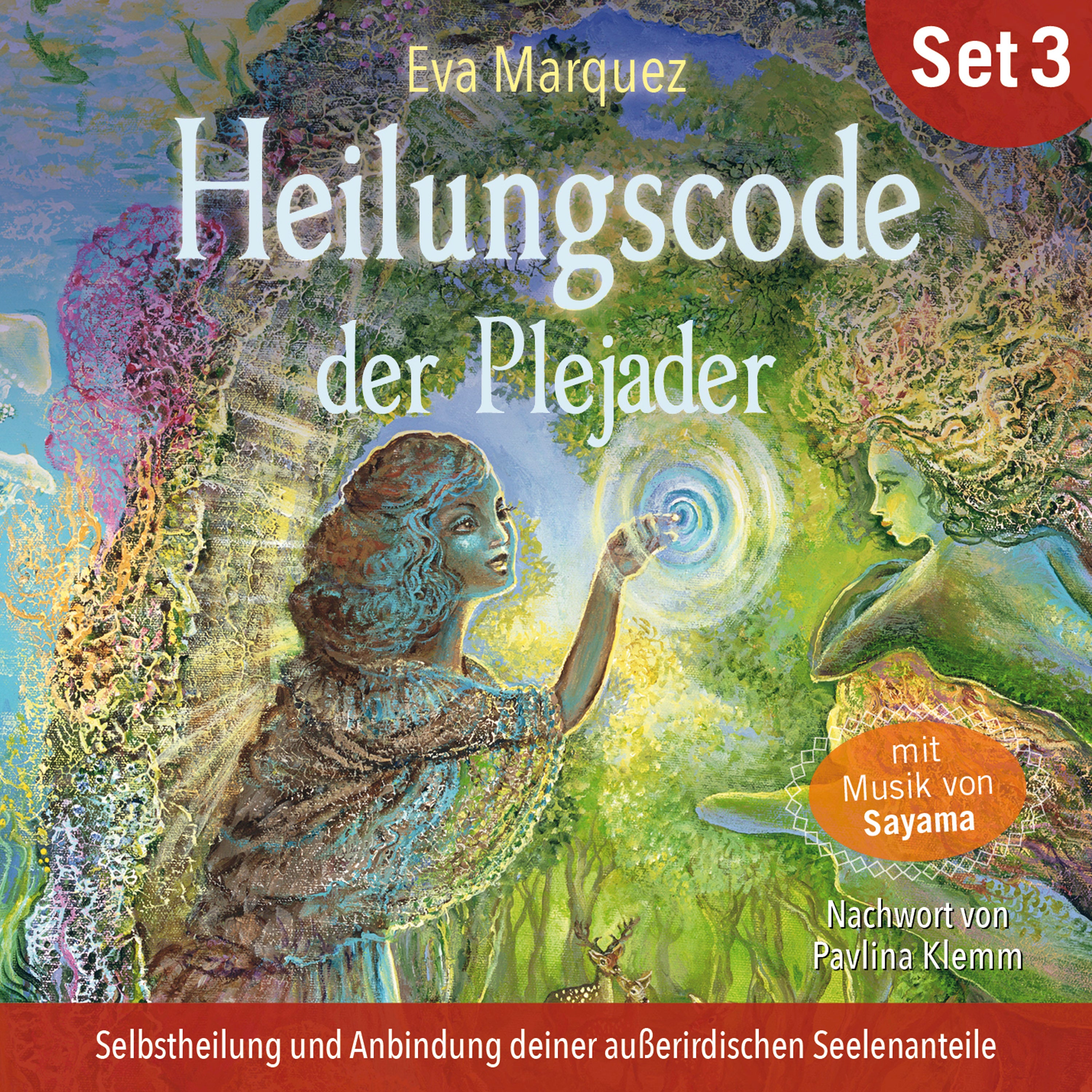 HEILUNGSCODE DER PLEJADER Band 3 [mit einem Vorwort von Pavlina Klemm]