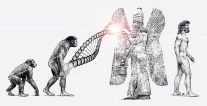 DIE ANUNNAKI [Das Grundlagen-Werk]
