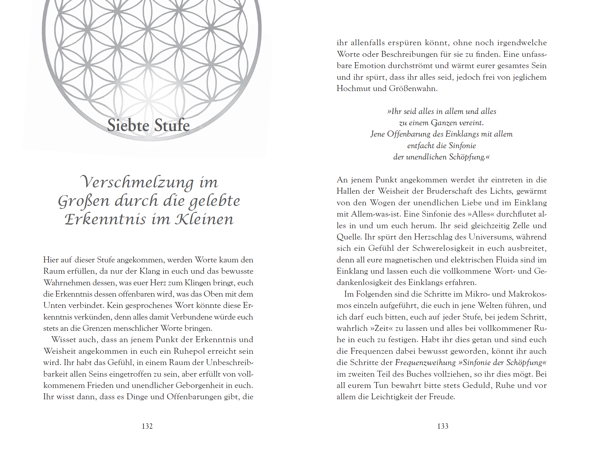 THOTH - PROJEKT MENSCHHEIT: IM ALL-TAG. ARBEITSBUCH FÜR DIE JETZT-ZEIT [Erweiterte Neuausgabe]