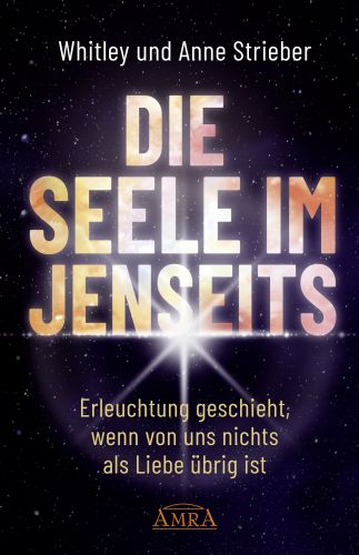 DIE SEELE IM JENSEITS [empfohlen von SPIEGEL-Bestsellerautorin Pavlina Klemm]