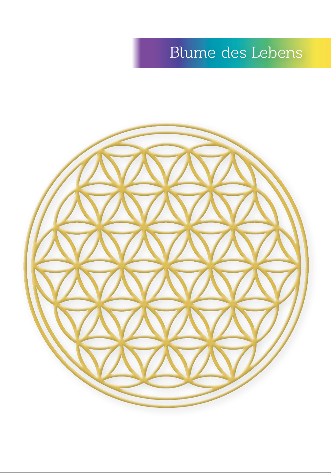 HEILSYMBOLE & ZAHLENREIHEN KARTENSET 1 [mit 44 Karten & Begleitbuch]