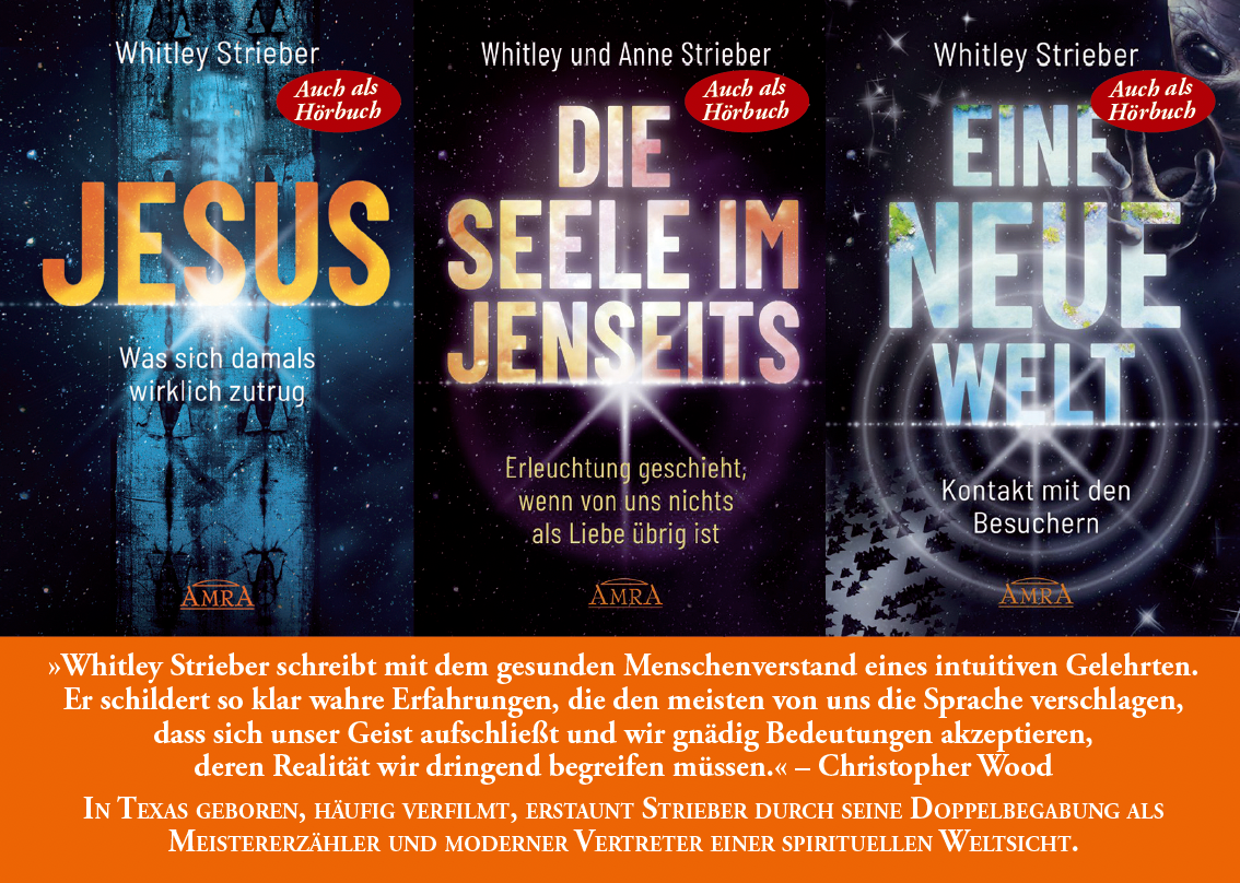 DIE SEELE IM JENSEITS [empfohlen von SPIEGEL-Bestsellerautorin Pavlina Klemm]