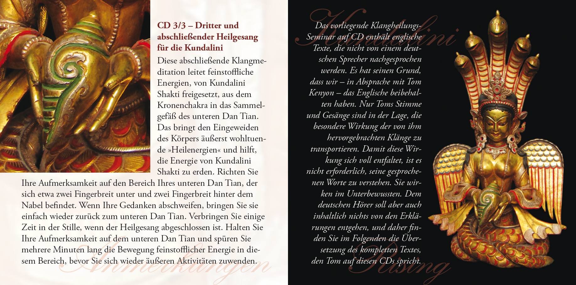 KUNDALINI RISING [mit 44 Seiten Booklet; komplettes Seminar auf 3 CDs; plus Bonus-CD]